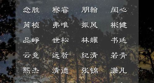 四、 情感色彩渲染：注入生命力