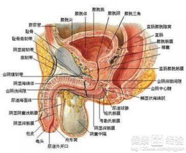 阴多阳少八字男命阳多阴少会有哪些症状表现？