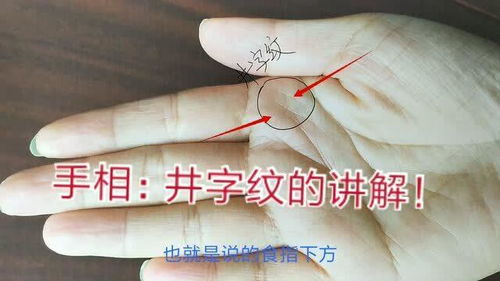 手相符号图解如何解读？