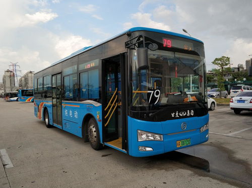 九、  广西的牛真有礼貌，但公交没礼貌