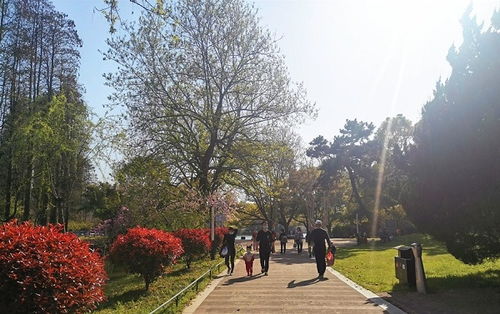 第三段：菱湖公园与夜景