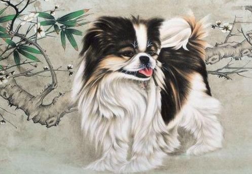 同属相婚配的利弊