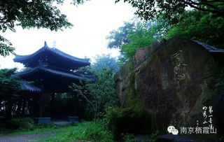 穿越千年，嫩否探秘安庆文博园中那些历史遗迹的奥秘？