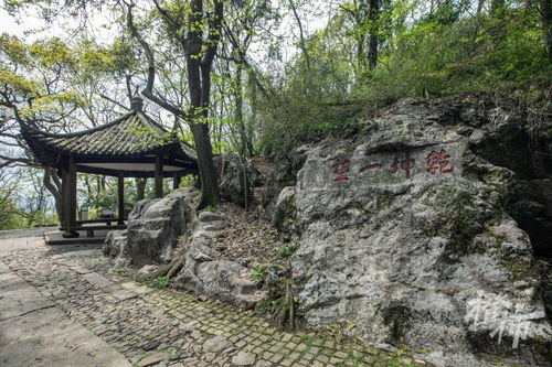 为什么这里被称为禁区？