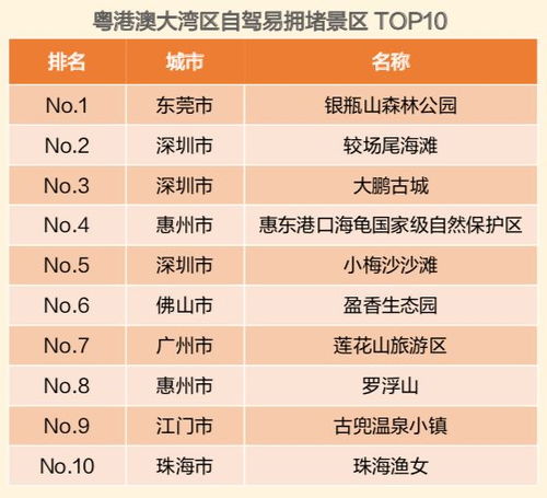 定制化建议：看看你的命理适合啥