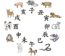 业务超异