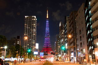 3. 东京塔的璀璨夜景
