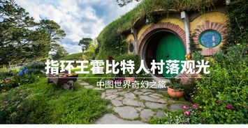 探寻昆明晨曦中的花店传奇