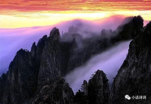 庐山旅游终极踩坑指南：从上海出发的噩梦之旅