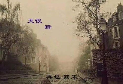 国学角度的反思:适度原则的重要性
