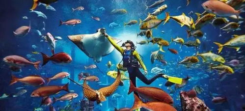 失落的空间水族馆