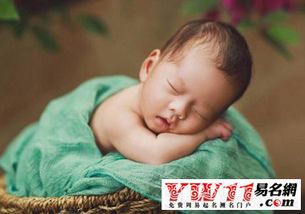 属狗男宝宝起名宜用哪些字？有没有推荐的属狗宝宝起名用字？