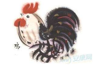 属鸡的女孩小名叫米多，这样的名字你觉得怎么样？