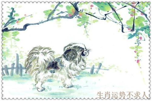 2026年属狗双子座农历十月运势和属狗天秤座运势分别是什么？