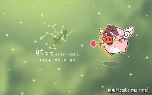 射手座和白羊座：火花四溅组合