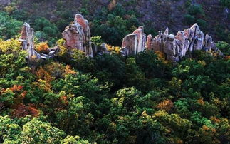 第一章：朝阳——白石水库与桃花山