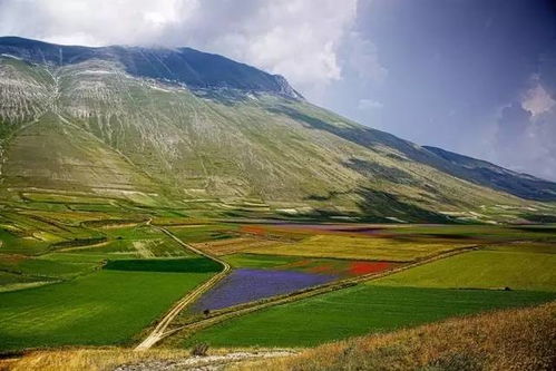 防坑指南：如何在东北活过五月