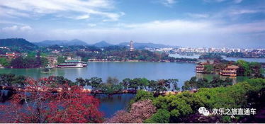 五一去杭州西湖网红打卡地，游客如织的地方有哪些推荐？