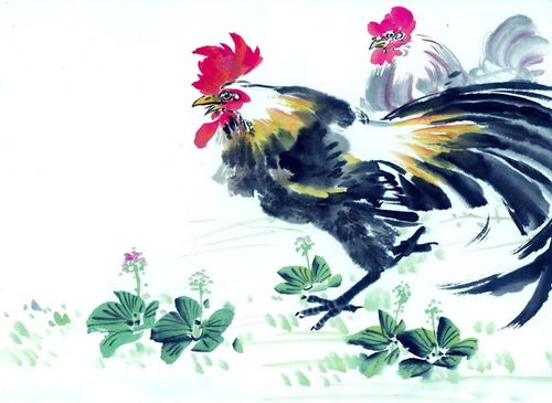 81年属鸡人桃花年是什么生肖？桃花运势在哪一年最旺？