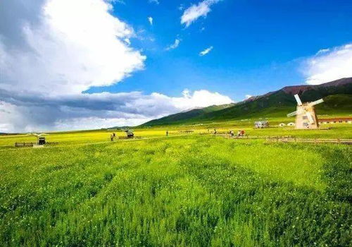 第一天：铜陵市区较深度游