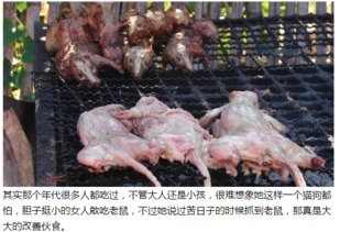 救命！来这儿能玩啥？数老鼠吗？