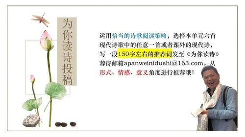 3. 诗词歌赋——古典与现代化交错的崭新颖玩法