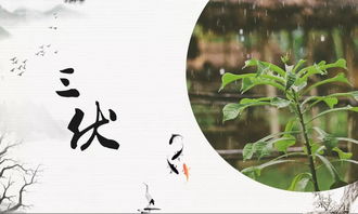 三伏天传统习俗，养生避暑秘籍大揭秘