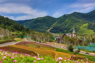 赤城海坨山谷：户外运动or野外求生