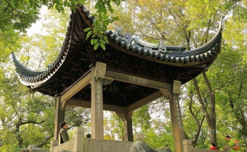别信“春节赏园”那套浪漫说辞：园林里的“人挤美学”有许多累？