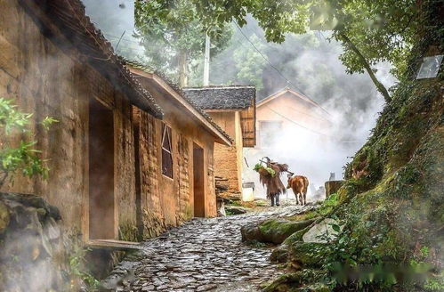 古村新游，春日探秘之旅有哪些值得一去的景点呢？