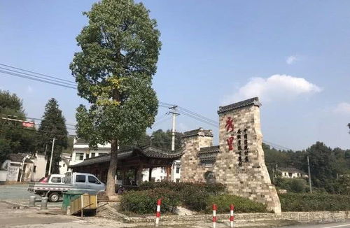 宏村：梦里水乡还是人挤人的菜市场？