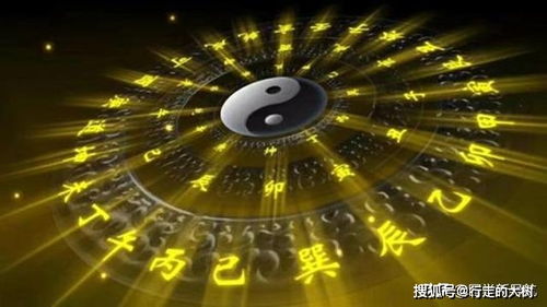 八字命理与佛学相悖吗？五大经典八字命理观点是否与佛学理念冲突？