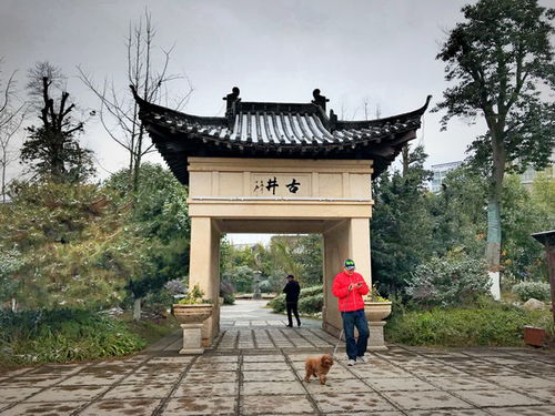 温汤镇：一个被吹上天的
