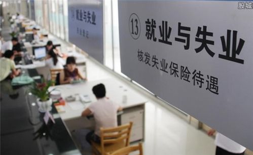 玄关整活指南