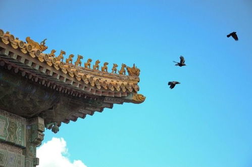 旅行者的足迹：古桥墩的崭新生