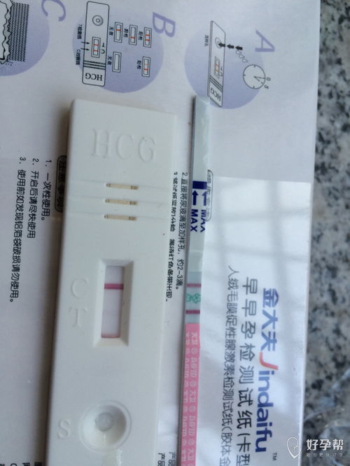 先说说它到底能干啥？