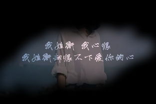 以衡为姓，有没有一个名字叫衡宇轩昂的男孩呢？