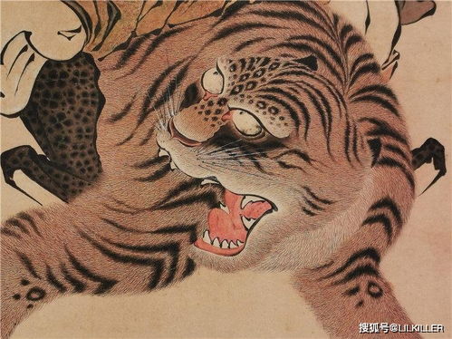 属虎人在农历五月财运如何，五月属虎意味着什么？