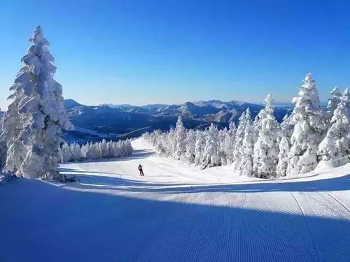 高海拔？呵呵，要命的那种