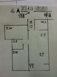 风水大师在线作法
