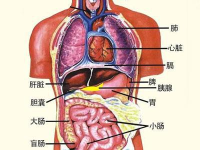 震惊！原来