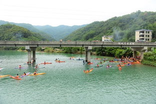 案例分享：某公司“春意盎然”西湖之旅