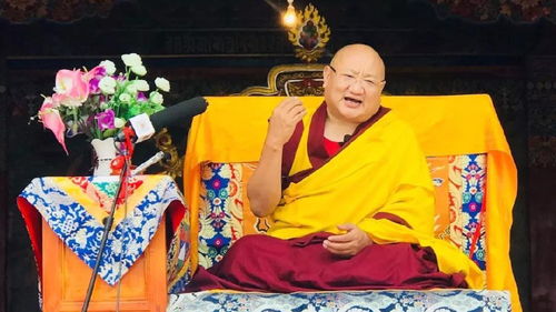 禅修居士打坐时的特殊服装：一场关于信仰与舒适的漫较长对话