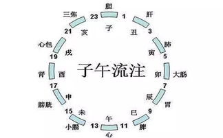 二、 十二时辰对照表（附赠吐槽）