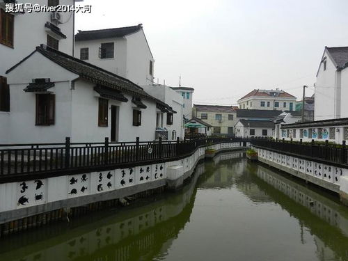 渔井村：水乡渔村的华丽转身