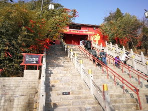 途中——尘土与风味交织