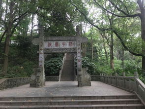 三、一些小贴士（重要！）