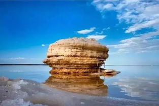 门源油菜花田：金灿灿的花海