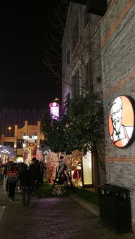 三、 第二天：武汉新景速递（快节奏+强刺激）