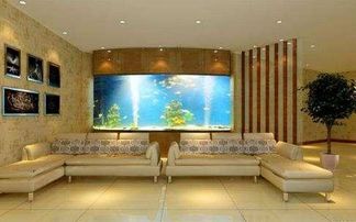 小鱼缸放哪个位置招财,小鱼缸放什么风水好kan